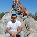 ���������� ���������, ���� ������� �����, 33 ����, ������������ ��� ������, ����� � ���������