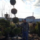 ���������� ������ �����, ���� ������� ������, 40 ���, ������������ ��� ������, ���������