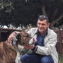  Locri,   Serjic, 49 ,     , c , 
