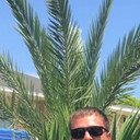 ���������� ������, ���� ������� ���������, 41 ���, ������������ ��� ������, ����� � ���������, c�������� ���������