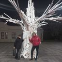 ���������� ����, ���� ������� �������, 48 ���, ������������ ��� ����� � ���������, c�������� ���������