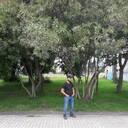 ���������� ����, ���� ������� Dovud, 26 ���, ������������ ��� ������, ����� � ���������