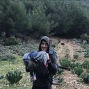  Beirut,   Panda, 33 ,   ,   