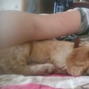 ���������� ������, ���� ������� ������, 31 ���, ������������ ��� ������, ����� � ���������, c�������� ���������