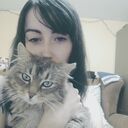 ���������� �����������, ���� ������� ���, 33 ����, ������������ ��� ���������