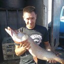 ���������� ����, ���� ������� ������, 44 ����, ������������ ��� ������, ����� � ���������, c�������� ���������