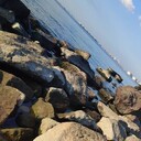 ���������� �����-���������, ���� ������� Xusniddin, 29 ���, ������������ ��� ������, ����� � ���������, c�������� ���������, ���������