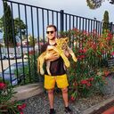  ,   , 29 ,   ,   , c 