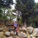  ,   , 38 ,   ,   
