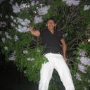  -,   , 37 ,   