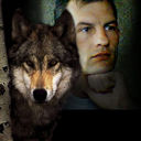 ���������� ������, ���� ������� �����, 53 ����, ������������ ��� ������, ����� � ���������, c�������� ���������