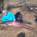 ���������� �����-���������, ���� ������� ���������, 32 ����, ������������ ��� ������, ����� � ���������