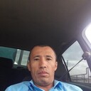  ,   , 43 ,  