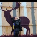 ���������� ������, ���� ������� ����a, 51 ���, ������������ ��� ����� � ���������, c�������� ���������