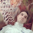  ,    , 31 ,   ,   , c , 