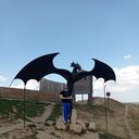 ���������� ���, ���� ������� ������, 36 ���, ������������ ��� ������, ����� � ���������