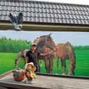 ���������� ����������, ���� ������� �����, 31 ���, ������������ ��� ������, ����� � ���������