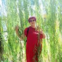  ,   , 43 ,   ,   , 