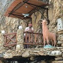 ���������� ���������, ���� ������� ������, 31 ���, ������������ ��� ������, ����� � ���������, c�������� ���������, ���������