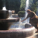 ���������� ����������, ���� ������� �������, 50 ���, ������������ ��� ������, ����� � ���������, c�������� ���������