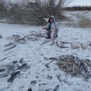 ���������� ������, ���� ������� ������, 45 ���, ������������ ��� c�������� ���������