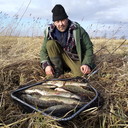 ���������� �����������, ���� ������� �������, 47 ���, ������������ ��� ������, ����� � ���������, c�������� ���������