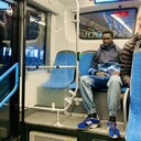 ���������� ������, ���� ������� Fallou, 33 ����, ������������ ��� ������, ����� � ���������