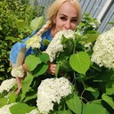 ���������� ������, ���� ������� �������, 37 ���, ������������ ��� ����� � ���������, c�������� ���������, ���������