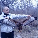 ���������� ��������, ���� ������� Karlito, 35 ���, ������������ ��� ������, ����� � ���������, c�������� ���������