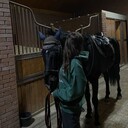 ���������� �����-���������, ���� ������� ����, 26 ���, ������������ ��� ������, ����� � ���������, c�������� ���������