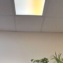  ,   , 51 ,   ,   , c , 
