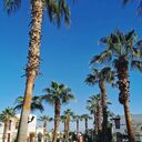 ���������� ������, ���� ������� Marina, 25 ���, ������������ ��� ������, ����� � ���������