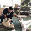 ���������� �����������, ���� ������� �����, 27 ���, ������������ ��� ������, ����� � ���������