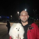 ���������� ���������, ���� ������� ������, 40 ���, ������������ ��� ������, ����� � ���������