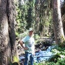 ���������� ����������, ���� ������� ��������, 31 ���, ������������ ��� ������, ����� � ���������, c�������� ���������