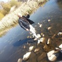 ���������� ����, ���� ������� ���������, 40 ���, ������������ ��� ������, ����� � ���������, c�������� ���������