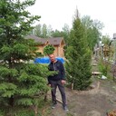 ���������� �����������, ���� ������� ���������, 44 ����, ������������ ��� ������, ����� � ���������