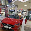 ���������� �������, ���� ����� �����, 24 ����, ������������ ��� ������