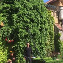 ���������� �����-���������, ���� ������� �������, 39 ���, ������������ ��� ������, ����� � ���������, c�������� ���������