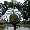  ,   , 60 ,     , c 