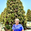 ���������� ���������, ���� ������� �������, 51 ���, ������������ ��� ������, ����� � ���������, ���������