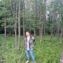 ���������� ���������, ���� ������� ������, 38 ���, ������������ ��� ������, ����� � ���������, c�������� ���������, ���������