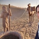 ���������� �����-���������, ���� ������� ����, 37 ���, ������������ ��� ������, ����� � ���������