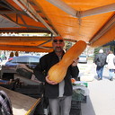  ,   Zanoza, 61 ,  