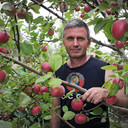 ���������� ������, ���� ������� ������, 60 ���, ������������ ��� ����� � ���������, c�������� ���������