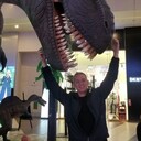 ���������� �����-���������, ���� ������� �������, 38 ���, ������������ ��� ������, ����� � ���������, ���������