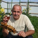 ���������� ������, ���� ������� ������, 62 ����, ������������ ��� ������, ����� � ���������, c�������� ���������