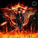 ���������� ������, ���� ����� ������, 24 ����, ������������ ��� ������, ����� � ���������, c�������� ���������, ���������