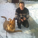   ,   , 61 ,   ,   , c 