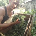  ,   Sereoga, 37 ,   ,   , c 